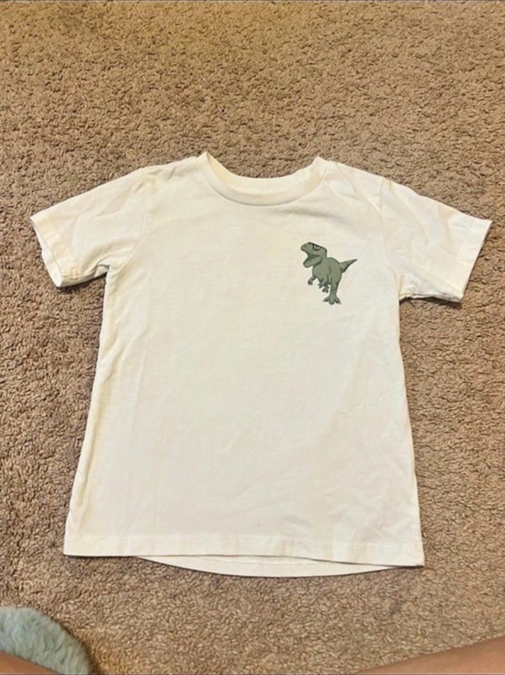 Stitch & Stone Dinosaur Graphic Tee Boys Size 6